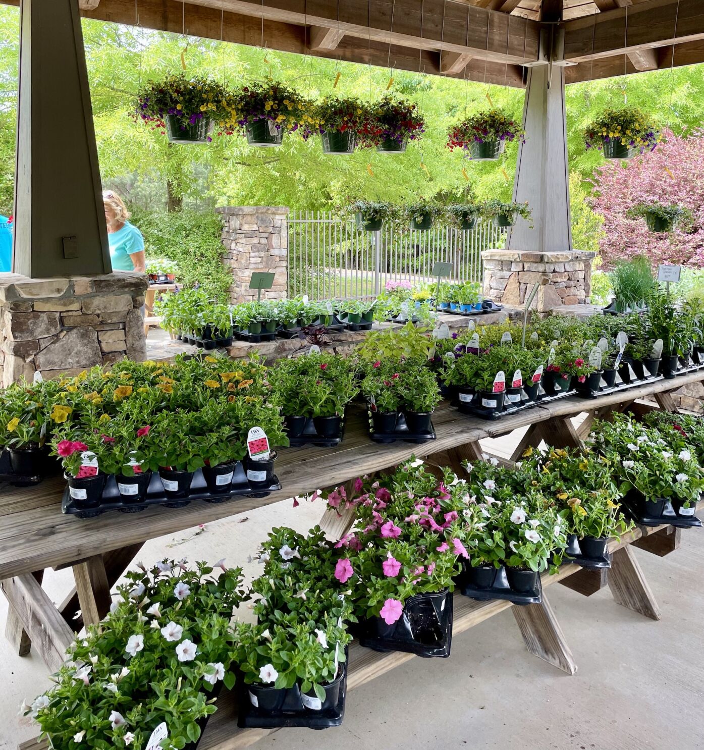 Annuals and hanging baskets